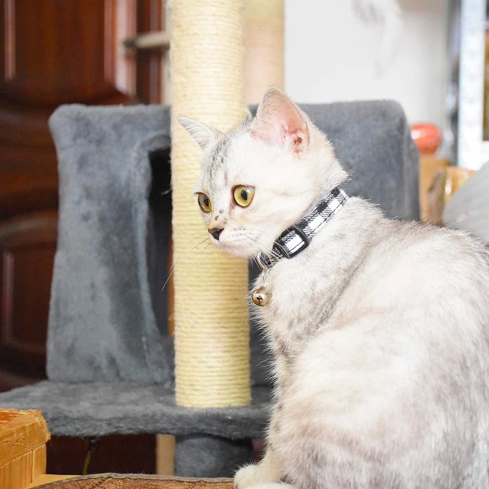 Ошейник для кошек с колокольчиком новинка 2020 ошейник безопасности съемный