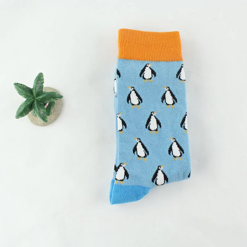 

penguin chili Dress Socks for Male Wedding Christmas Gift