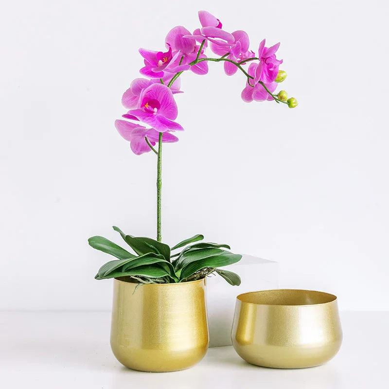 

Golden Wrought Iron Creative Flower Pot Nordic Style Metal Succulent Plants Courtyard Garden Flower Vase Decoration Household