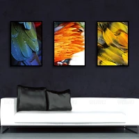 the feathers of various animals are colorful home decoration canvas paintings high definition printing bedroom living room