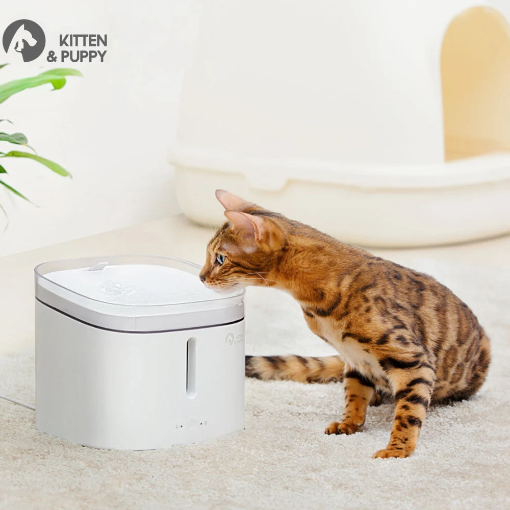 Котенок щенок домашнее животное диспенсер для воды кошка живый фонтан 2Л