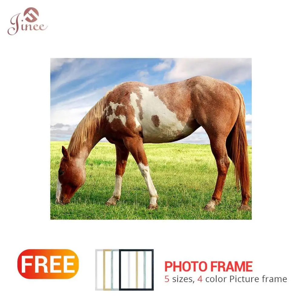 

Алмазная живопись Лошадь Луг своими руками Алмазная вышивка крестиком полностью Алмазная вышивка Стразы домашний декор