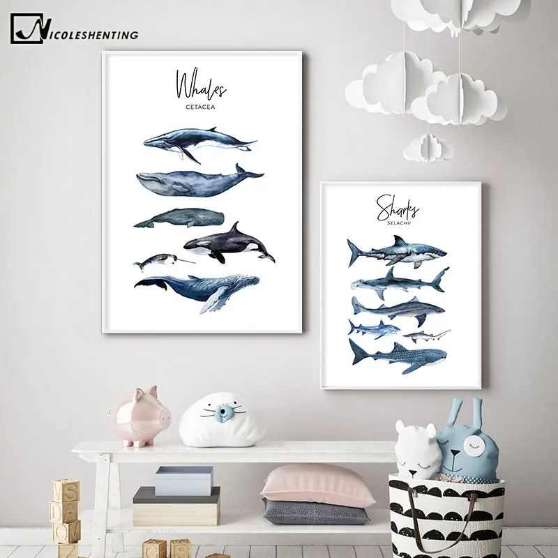 

Nautical Sea Nursery Painting Whale Shark Canvas Poster Animal Art Print Education Wall Picture Nordic Kid Baby Bedroom Decor