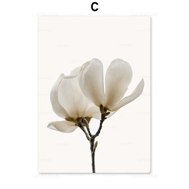 

White Rose Flower Feather Dandelion Wall Art Canvas Painting Nordic Posters And Prints Plant Wall Pictures For Living Room Decor