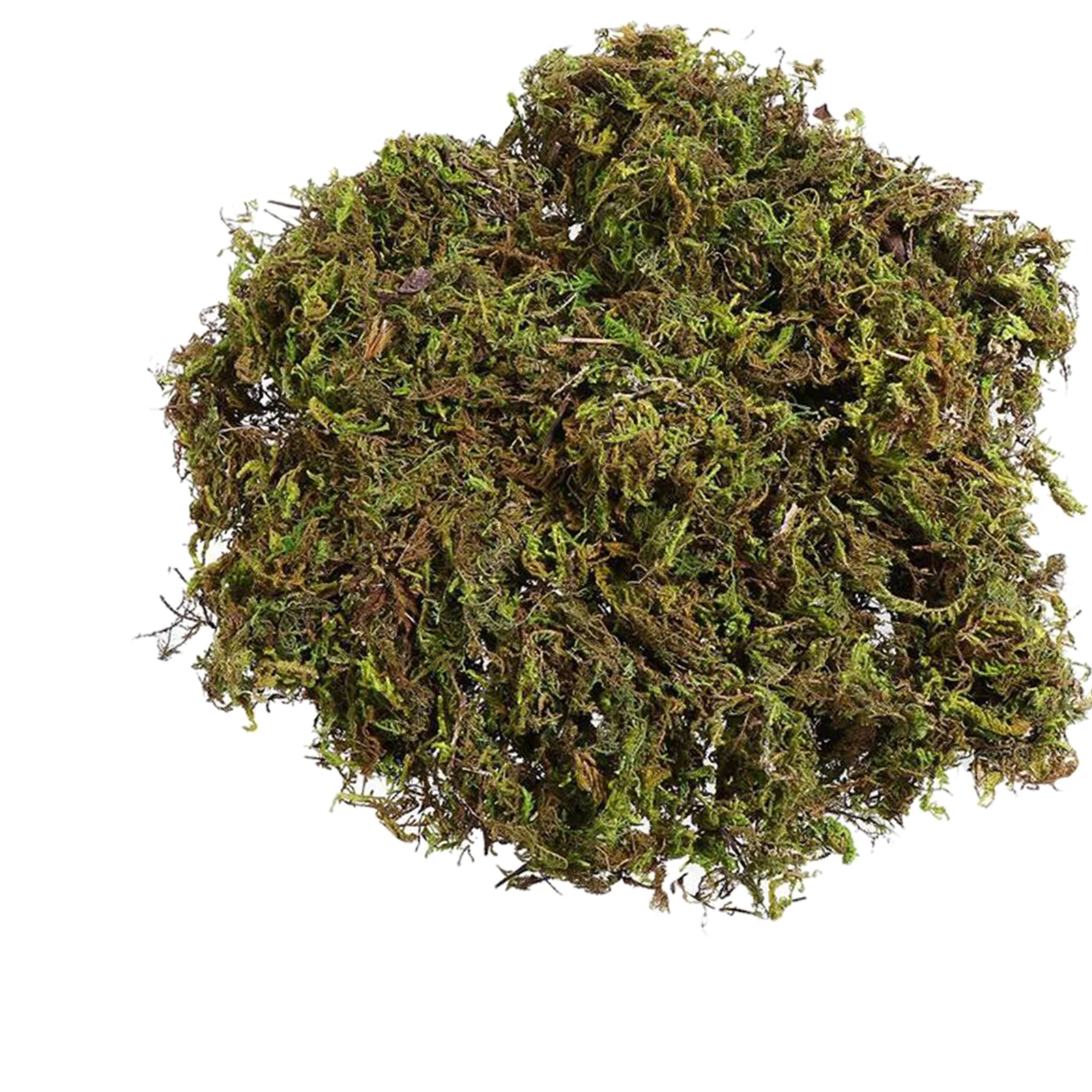 

1 Bag Artificial Keep Dry Green Moss Decor for Fairy Gardens Arts Crafts