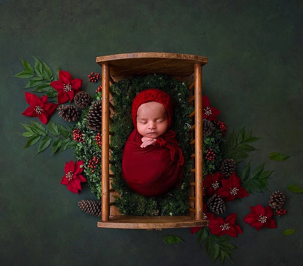 Реквизит для фотосъемки сушеные цветы в стиле ретро украшения пинекона