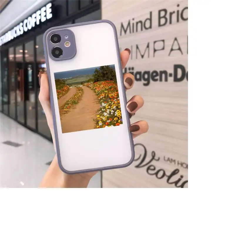 

Cottagecore Style Phone Cases Matte transparent For Gray iPhone 12 Mini 11 Pro XR XS Max 7 8 Plus X Back Cover