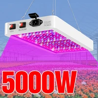 5000w quantum board led grow light phyto lamp full spectrum led plants bulb indoor 4000w phytolamp for flower seedling fitolamp