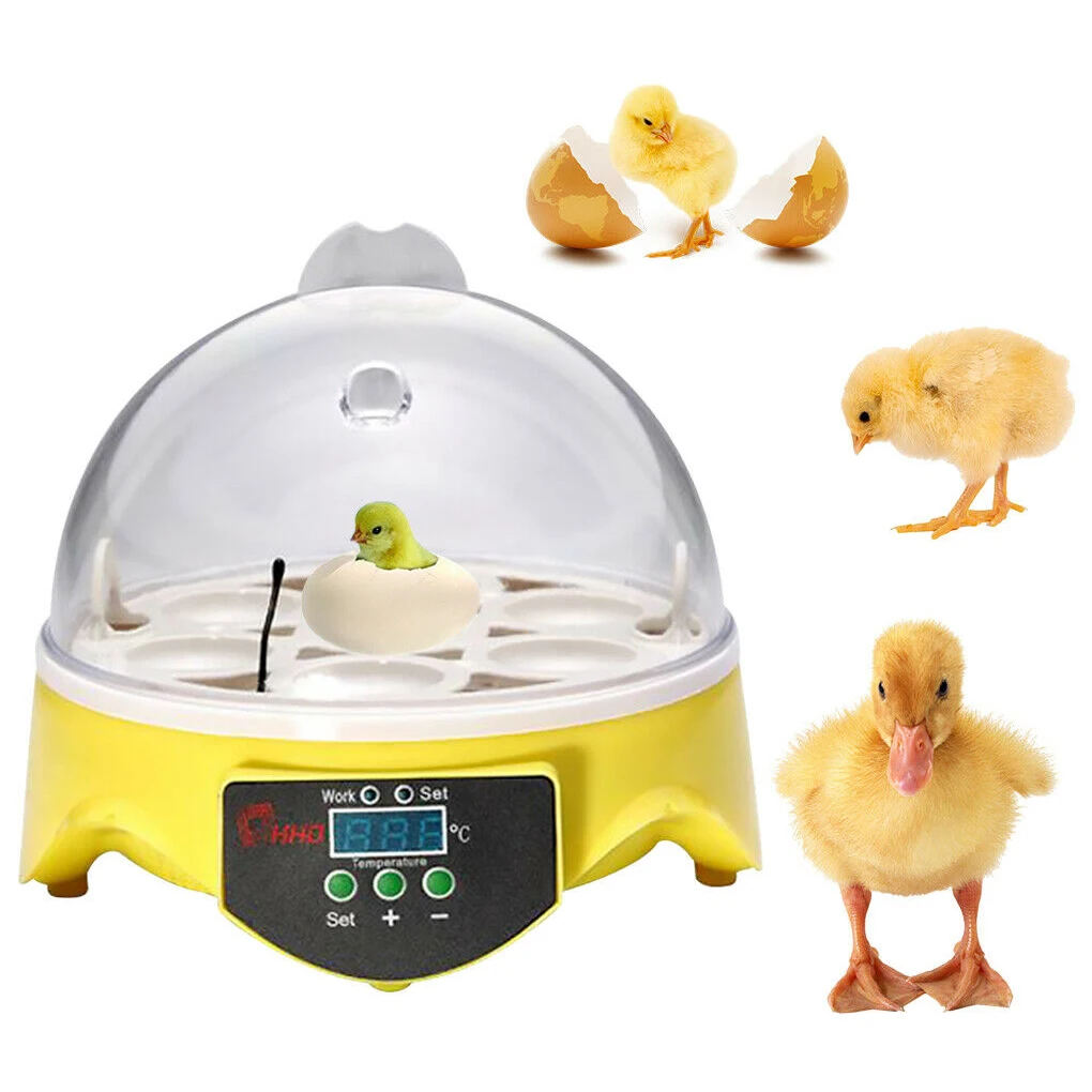 Incubadora automática de 7 huevos de pollos y patos, máquina de incubación con Control inteligente de temperatura, enchufe de EE. UU./REINO UNIDO/UE/AU