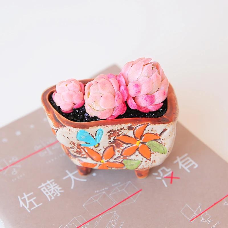 Shengshi цветочный горшок керамическое мясо креативный в Корейском стиле