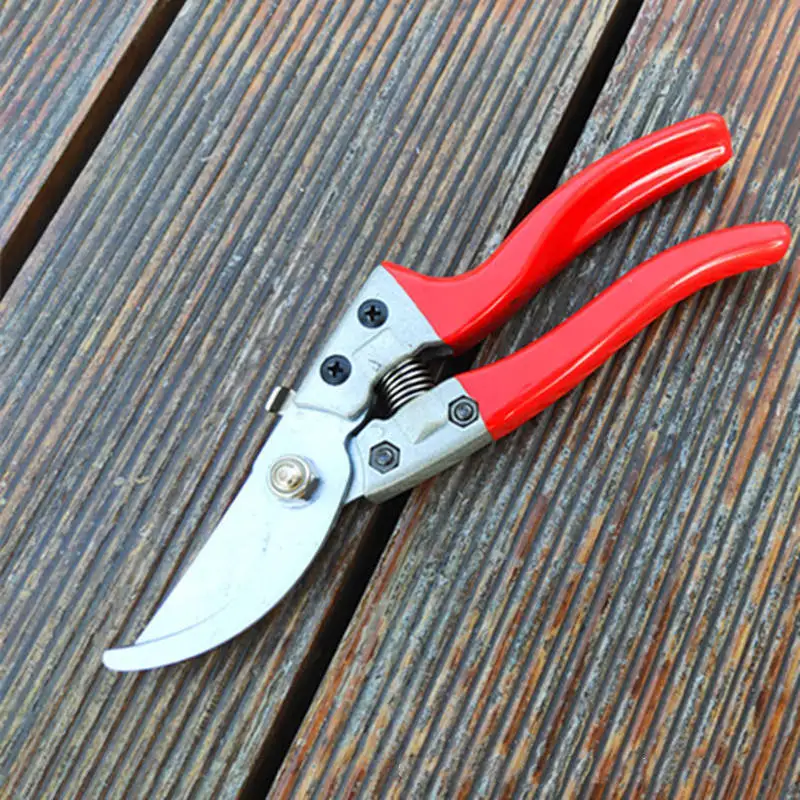 Пластиковые ручки садовые ножницы филиал Подрезка растений в садоводстве