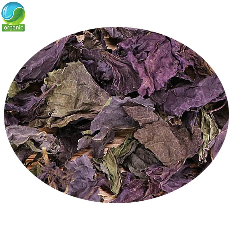 Сушеные периллы шисо Перилла листьев Базилик листья Периллы Folia Perillae Acutae сухой