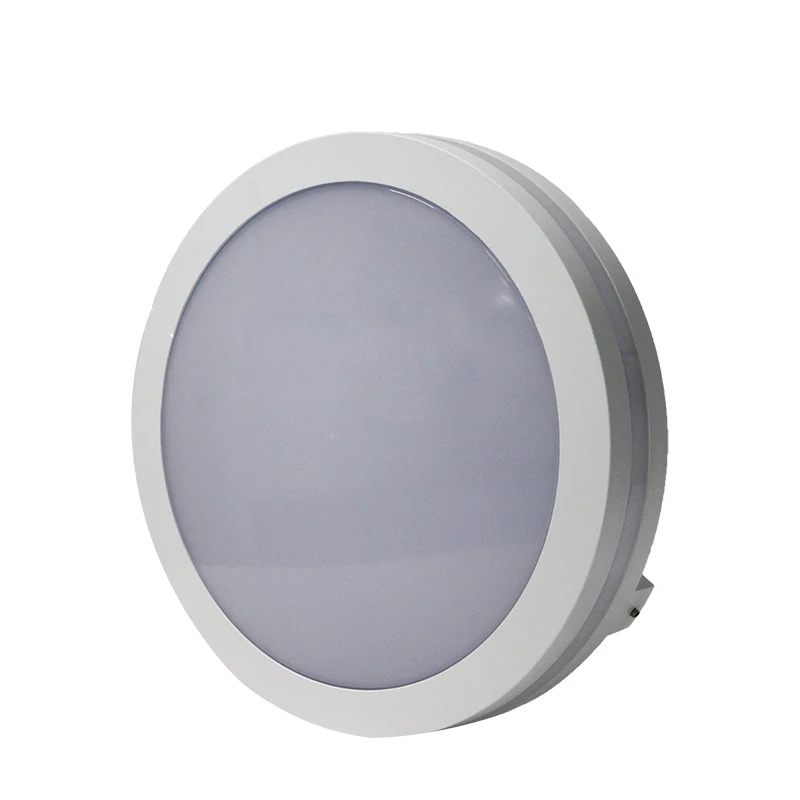 

Neutral White Ceiling Lights IP65 Outdoor Commercial Lamps Balcony Aluminum Body Led Luminaria LFTCL20W