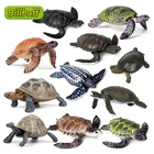 Модель из серии морских черепашек, имитация морских животных, коллекционные миниатюрные Обучающие Развивающие игрушки, подарок для детей