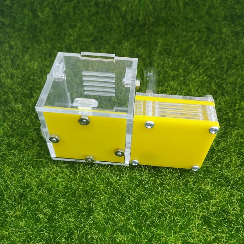 Yellow Ant Farm Palm Nest New Rear Plane Acrylic Workshop Pet Reptile Terrarium | Дом и сад
