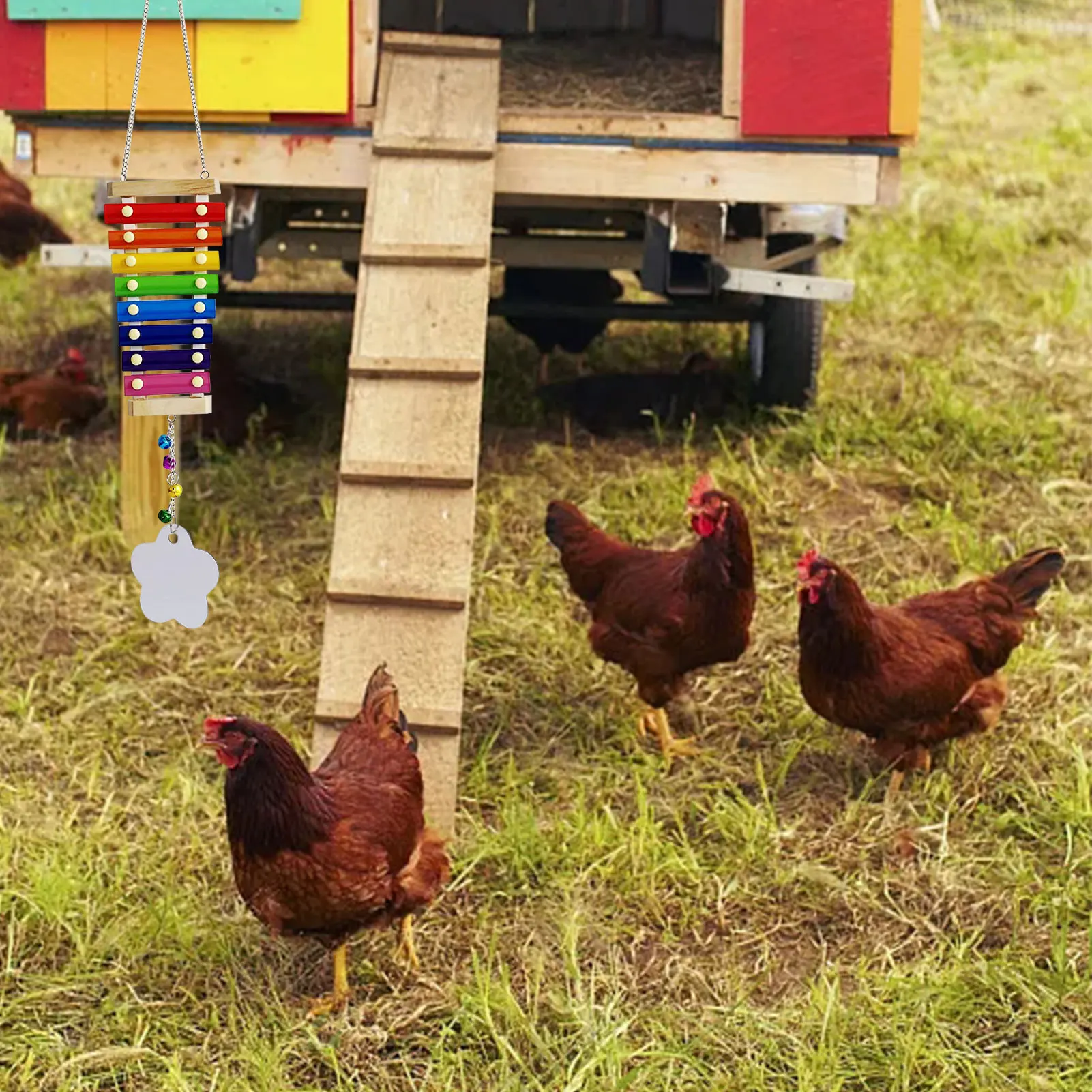 

Parrot Educational Chicken Xylophone Toy for Hens Suspensible Wooden Chicken Coop Chew Pecking Toy Macaw Training Play