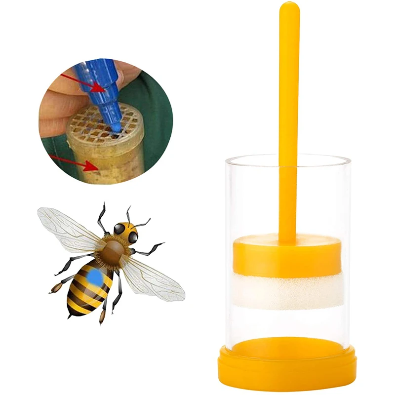 

Beekeeping Tools Kit 8Pcs-Beehive Smoker, Beekeeping Accessory -Bee Keeping Tool