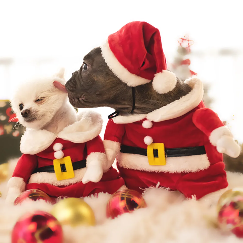 Зимняя одежда для собак костюм кошки Санта Клауса Новогодняя Французский