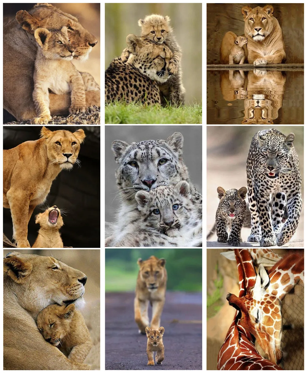 5D алмазная живопись с дикими животными тигр Лев Набор для вышивки крестиком