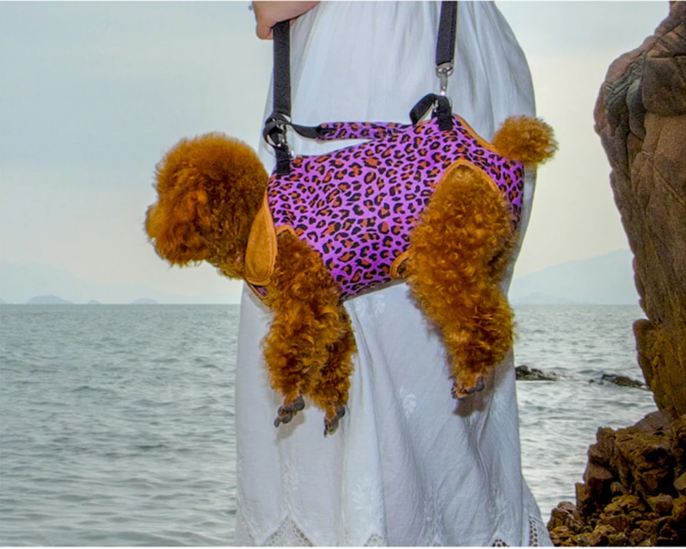 Сумка для собак, переноска для маленьких собак, удобная мягкая сумка для щенков, кошек, собак, рюкзак для путешествий на открытом воздухе, сумка для домашних животных, чихуахуа, мопс, поставщик домашних животных