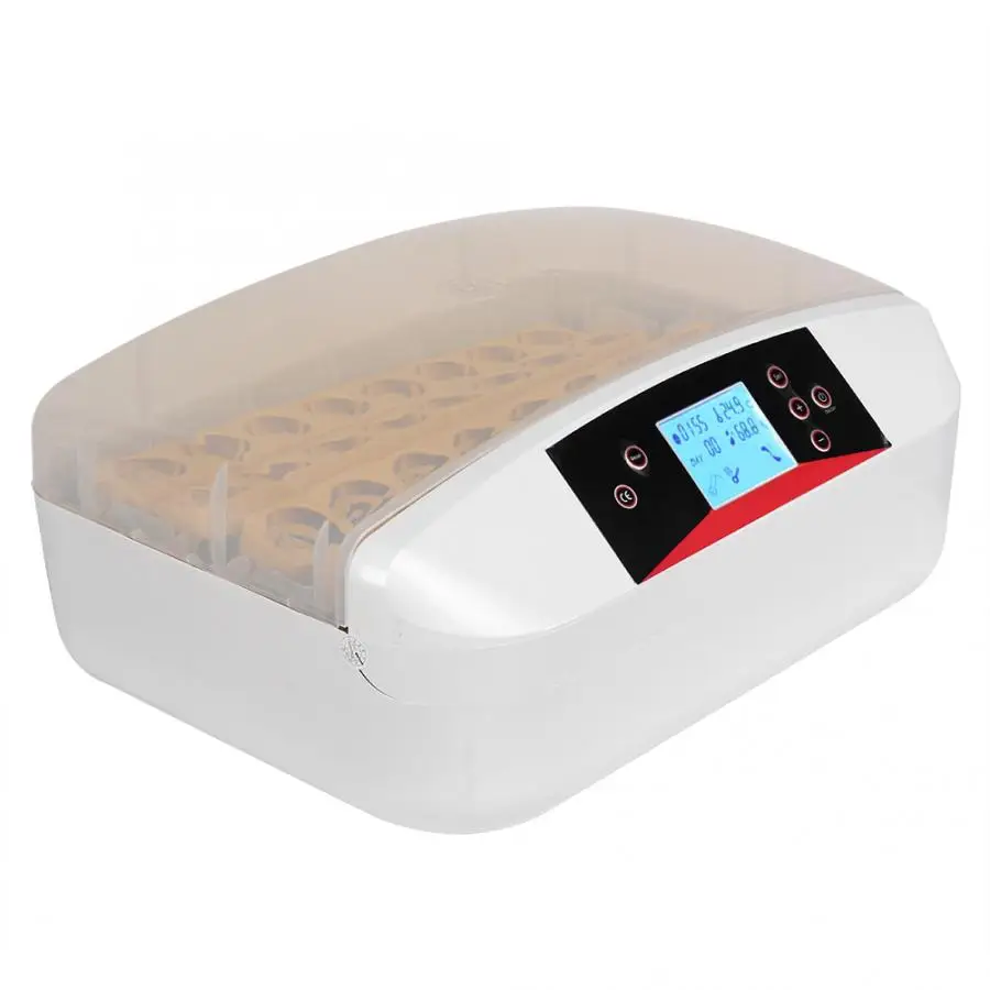 32 яйца одной мощности маленькие домашние цыплята утки птицы полностью