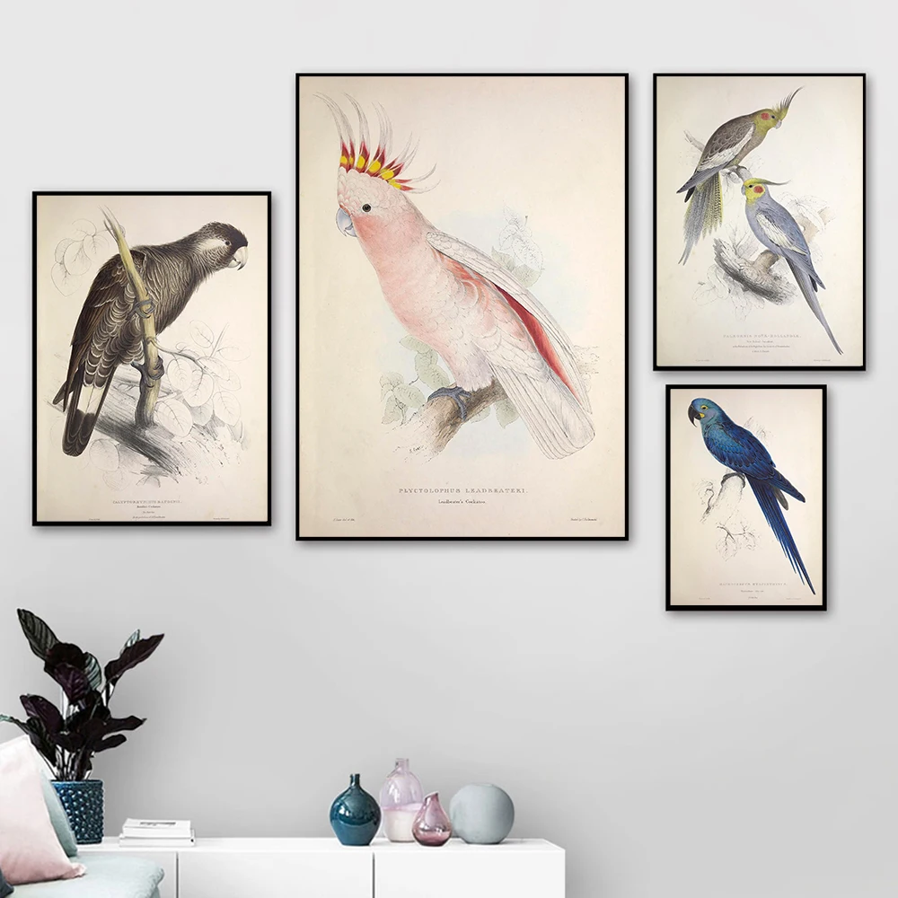 

Vintage Watercolor Bird Parrot Canvas Painting Retro Posters And Prints Living Room Wall Art Pictures Home Decoration No Frame