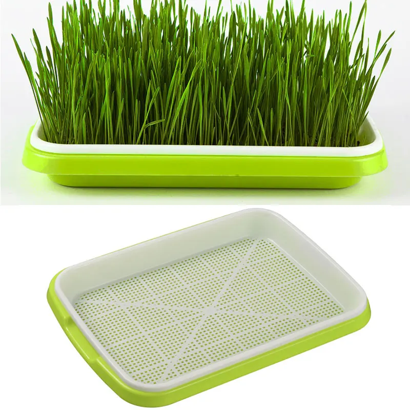 

Bean Sprouts Germination Pot Soilless Cultivation Sprout Tool Hydroponics Vegetable Seedling Tray Wheat Seedling Planting Pot