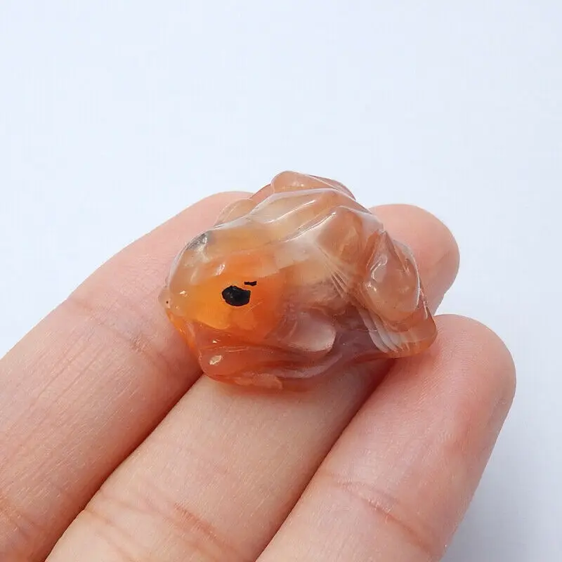 Натуральный камень красный агат резная лягушка животный кабошон 20x20x11 мм 7 3 г |