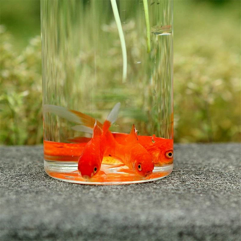 Стеклянная цилиндрическая настенная ваза гидропонное стекло Террариум аквариум