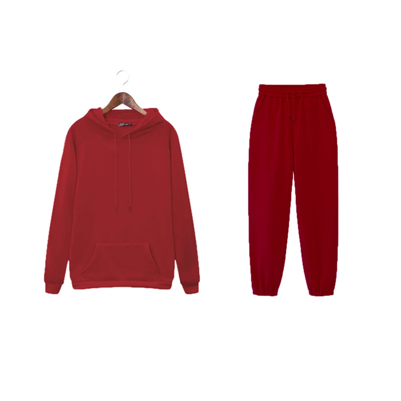 

2020 Autumn Winter Womens Hooded Tracksuits Sweatshirts 2 Pieces Sets And Pants Solid Color Casual Suits