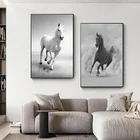 Абстрактная Картина на холсте бегущая черно-белая лошадь минималистичное настенное искусство скандинавские плакаты и принты современные картины для домашнего декора
