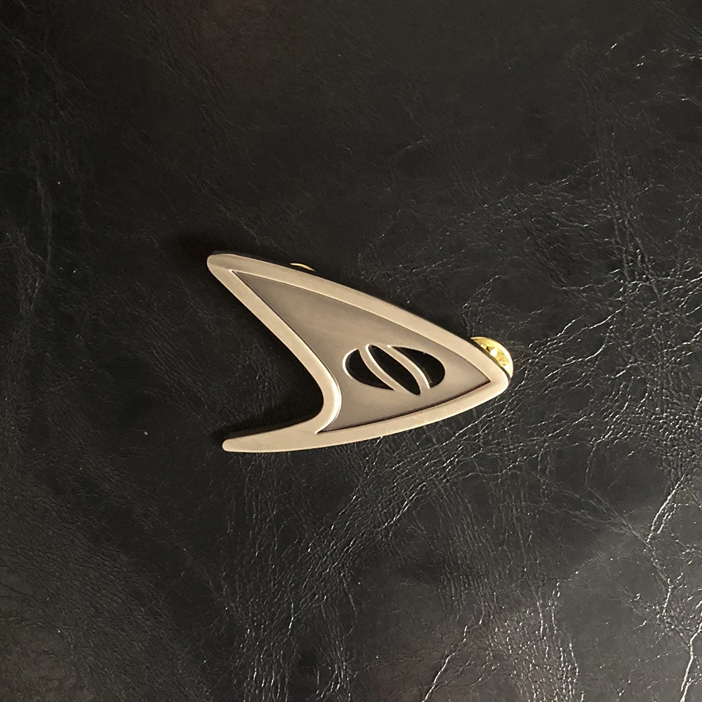 Рисунок 3 - Значок командного отдела звездного костюма