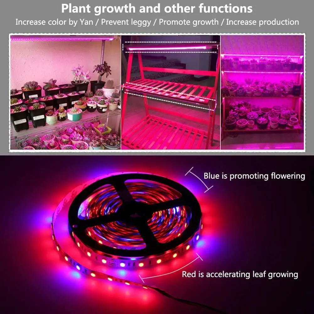 

5M Plant Grow Light Strip 60Leds/M 12V SMD 5050 Red Blue 3:1/4:1/5:1 Indoor Growing Lights Waterproof Full Spectrum Phyto Lamp