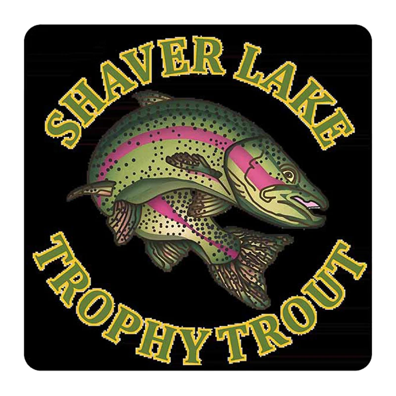 Lake Fine Decal Repair Car Stickers Cartoon Graphics Waterproof Vinyl Material Decor