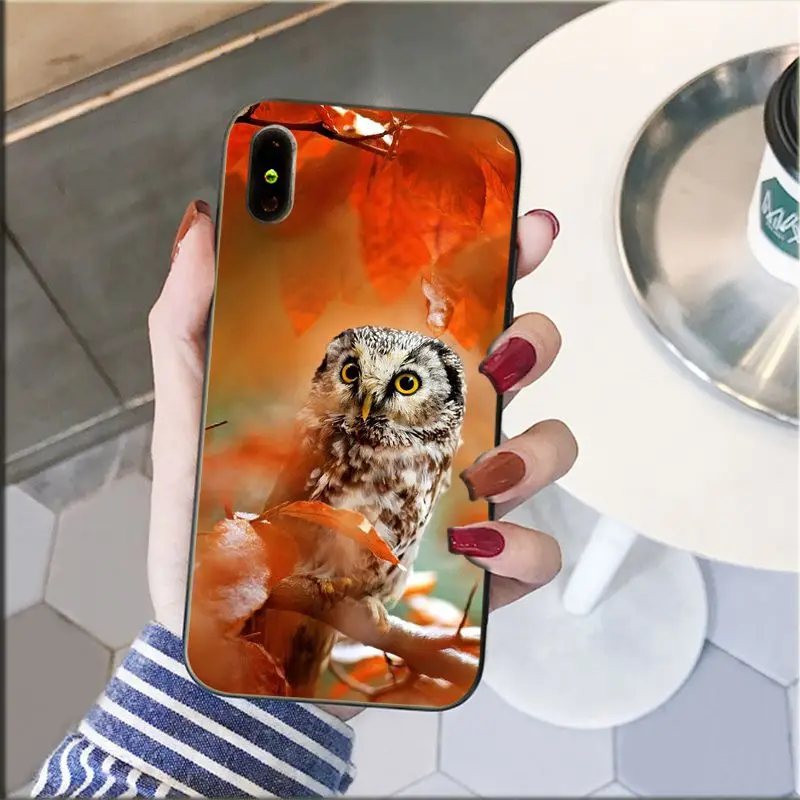animal owl eyes phone accessories case for iphone 11 12 pro xs max xs xr 8 7 6 plus 5 5s se 12mini free global shipping