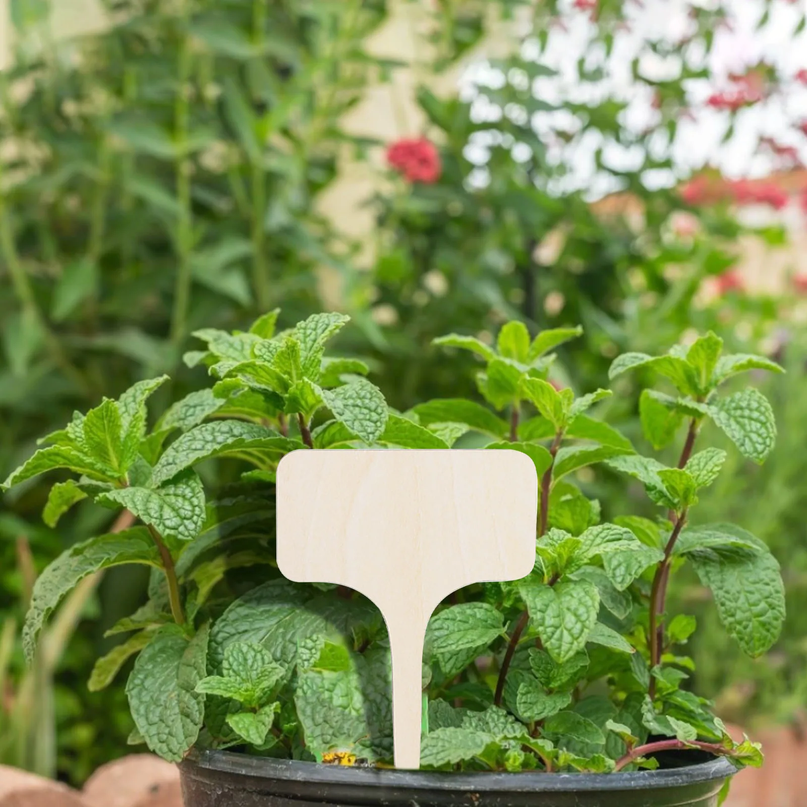 Деревянный Творческий садоводческий ярлыки для растений можете написать