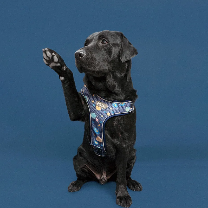 Dog Cat Harness Reflective Vest Pet Chest Strap Mesh Breathable and Walking Leash Leads for Puppy Small Medium Dogs | Дом и сад