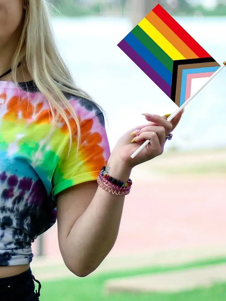 10 шт. Радужный пластиковый флаг 14 х21 см