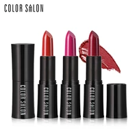 color salon lipstick 10 colors sexy make up long lasting rose red matte lip stick pink pigment lipstick cosmetic