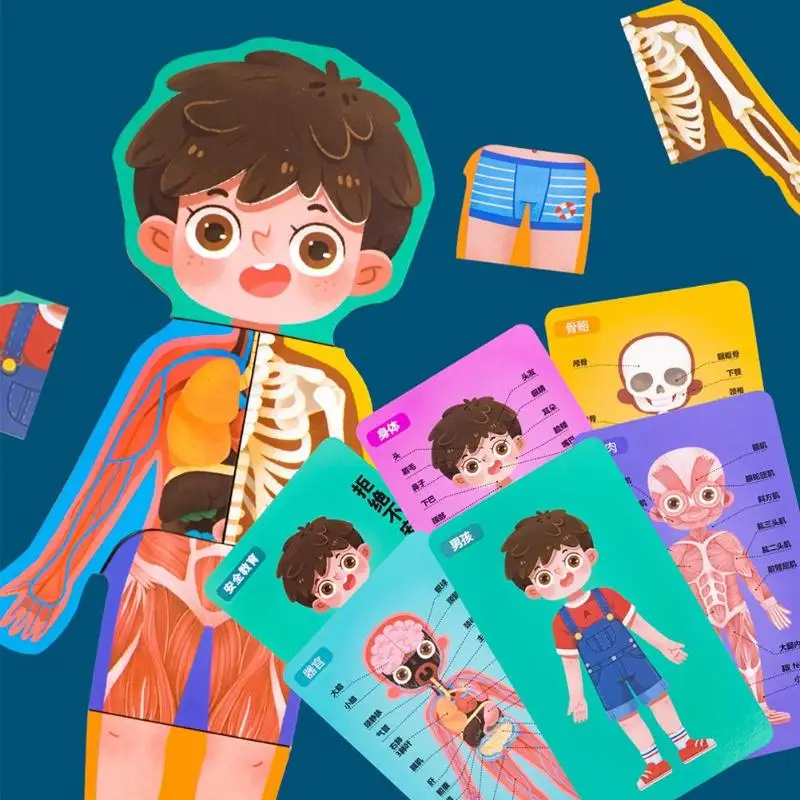 Малыш Boby познание игрушка Монтессори человеческого тела Структура головоломка в