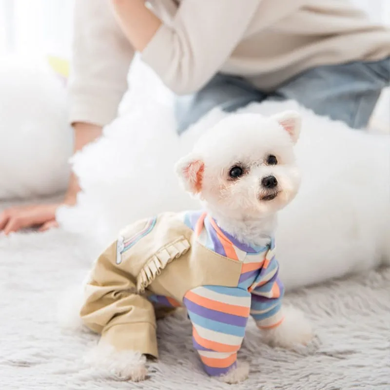 Зимняя Радуга Комбинезоны для собаки теплое пальто щенков чихуахуа одежда с