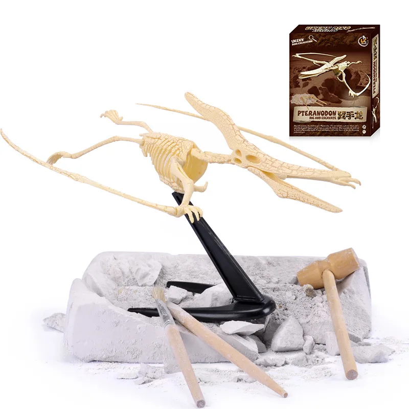 DIY моделирования археологических раскопок ископаемый скелет динозавра модель
