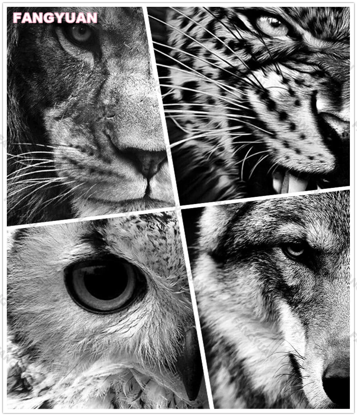 

Full Drill Animal 5D Diy Diamond Accessories Painting Wolf Owl Diamond Embroidery Mosaic Cross Stitch Kit Picture Home Decor