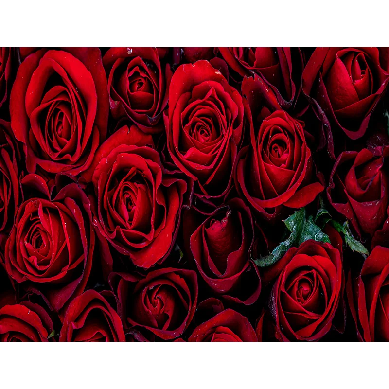 

ZHISUXI Vinyl Valentine's Day Photography Backdrops Wooden Flower Party Backgrounds Birthday Backdrop 201214QMH-02