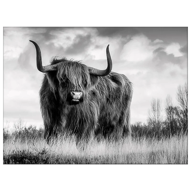 Алмазная 5d-картина яка круглые стразы 3D картина из страз вышивка с животными 100% |