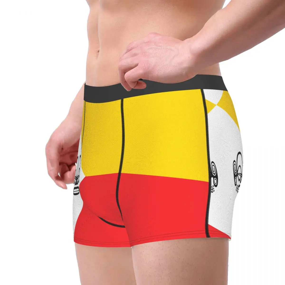 Flag Of Marquesas Islands Men's Boxer Briefs Flags of the regions of France Humor Graphic Men's boxer leggings