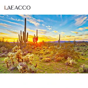 Laeacco фон природа пустыня кактус камень Пилат shrut растение облако живописные фотографические фоны фотосессия Фотостудия