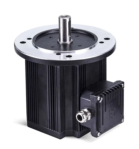 

1000RPM Electric Permanent Magnet Synchronous Motor
