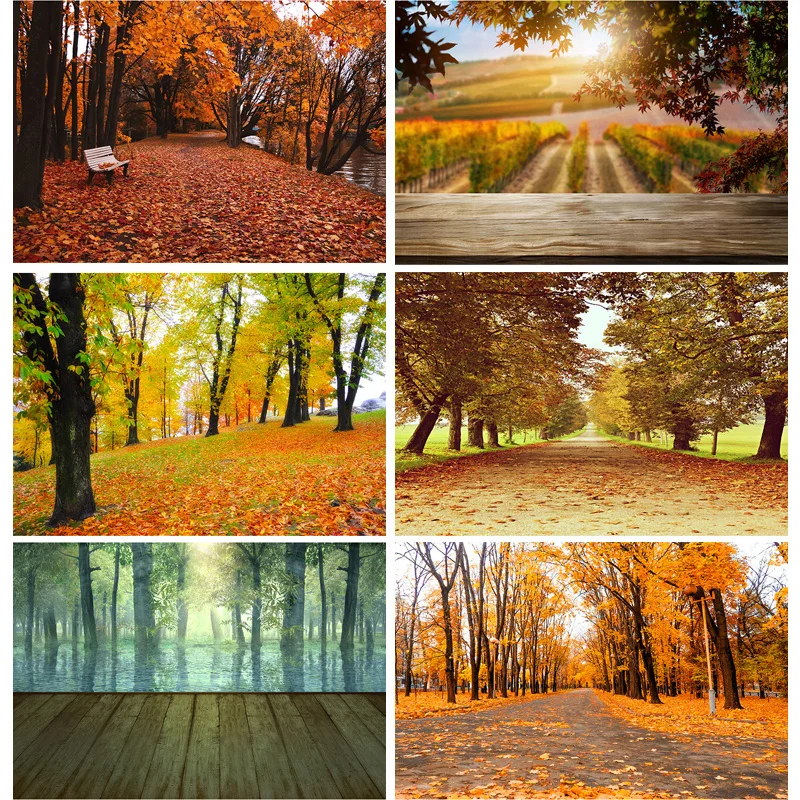 

Green Forest Nature Scenery Photography Background Landscape Portrait Photo Backdrops Studio Props 21102 KKL-04