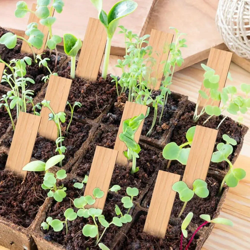 

50pcs Bamboo Plant Labels Eco-Friendly Wooden Plant Sign Tags Garden Markers for Seed Potted Herbs Flowers Tools